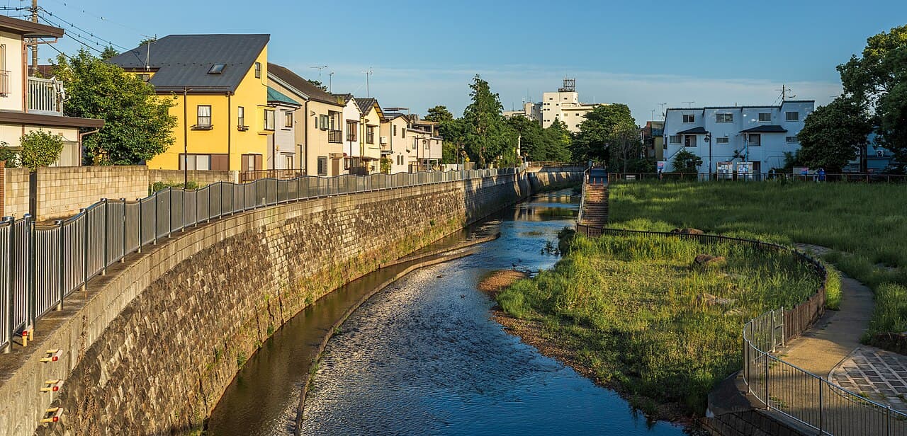 A residential street beside the Zenpukuji River in Suginami, Tokyo — illustrative of the kind of ordinary house purchase this cost breakdown applies to, not a specific listing